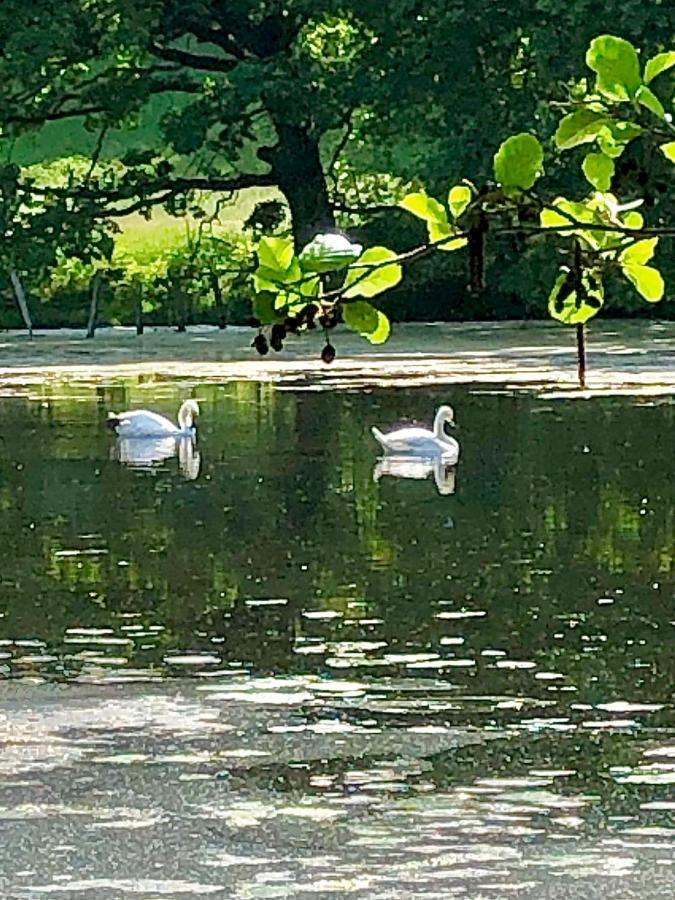 Ferienwohnungen Am Klusteich Goslar Bagian luar foto